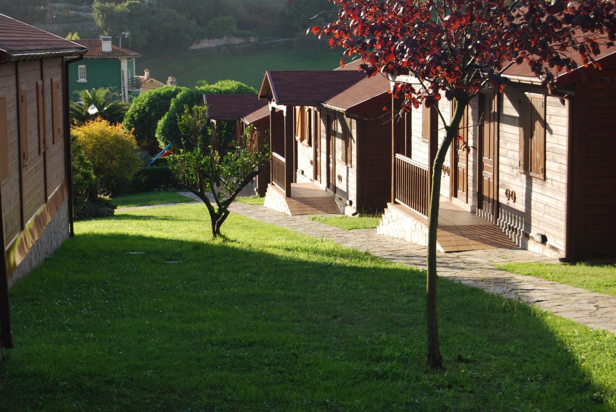 Cottage Garden View